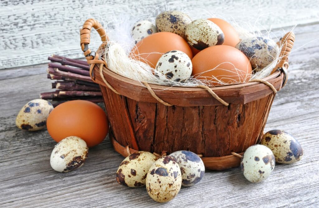 Các loại trứng cút, đà điểu, gà tây, ngỗng... bổ dưỡng thế nào?