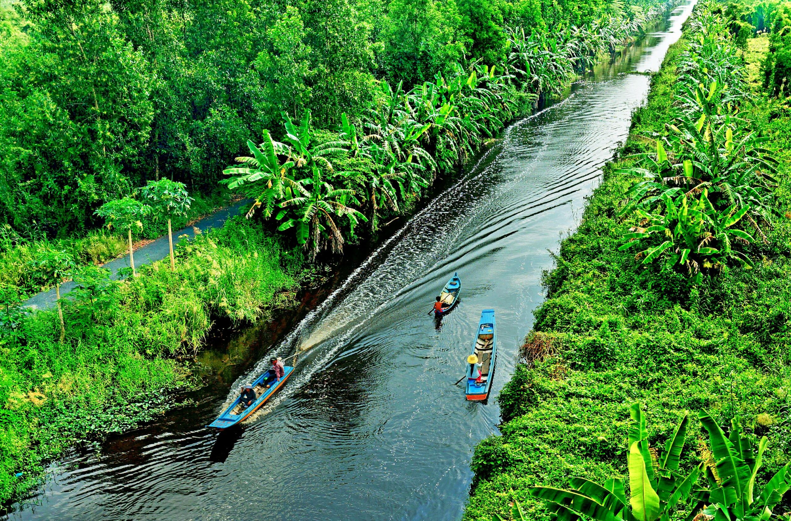 Vườn quốc gia rừng tràm U Minh Hạ